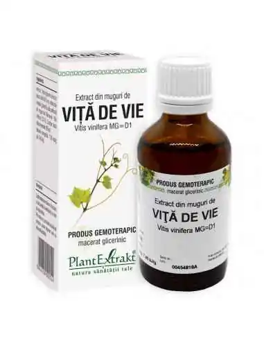 Extract din Muguri de Vita de Vie 50ml PlantExtrakt, REMEDII NATURISTE