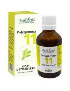 Polygemma 11 Ficat Detoxifiere 50ml PlantExtrakt 2