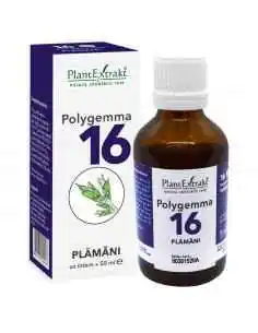 Polygemma 16 Plamani 50ml PlantExtrakt 2