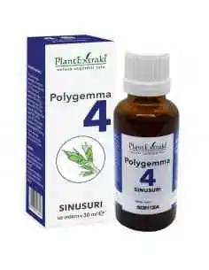 Polygemma 4 Sinusuri 30ml PlantExtrakt 2