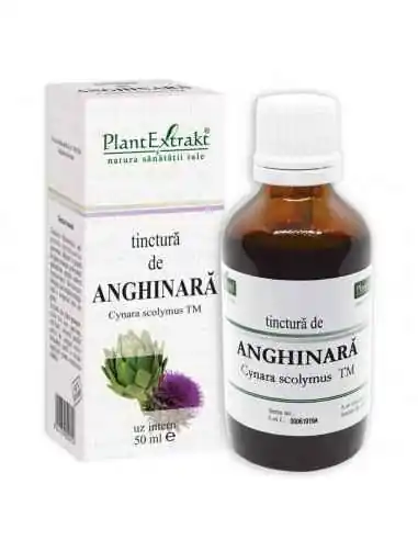 Tinctura de Anghinara 50ml PlantExtrakt, REMEDII NATURISTE