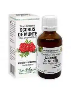 Extract Muguri Scorus de Munte 50 ml PlantExtrakt, Stres