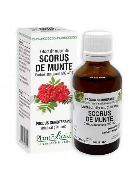 Extract Muguri Scorus de Munte 50 ml PlantExtrakt, Stres