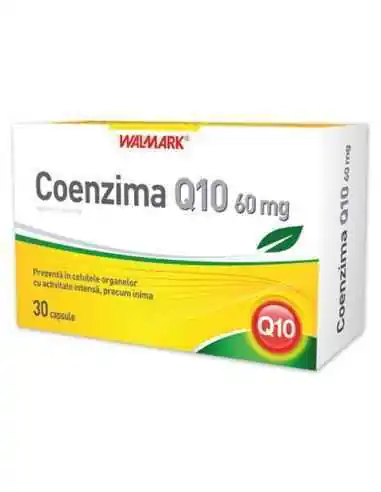 Coenzima Q10 60mg 30 capsule Walmark, Sistemul nervos