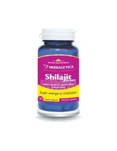 SHILAJIT MUMIO 30 cps Herbagetica, Sistemul nervos