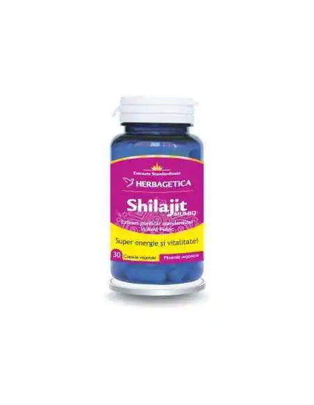 SHILAJIT MUMIO 30 cps Herbagetica, Sistemul nervos