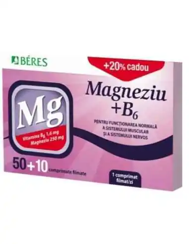 MAGNEZIU+B6 50 + 10CPR GRATIS BERES, Sistemul nervos