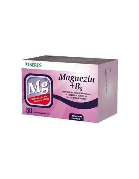 MAGNEZIU+B6 50CPR BERES, Sistemul nervos
