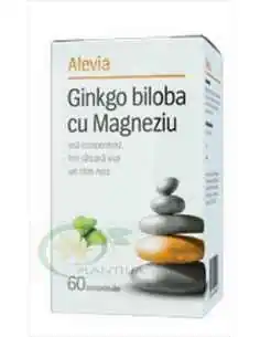 Ginkgo Biloba cu magneziu 60 comprimate Alevia, Sistemul nervos