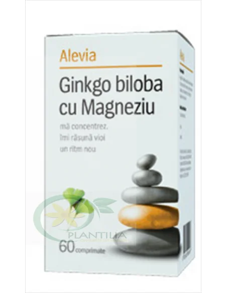 Ginkgo Biloba cu magneziu 60 comprimate Alevia, Sistemul nervos