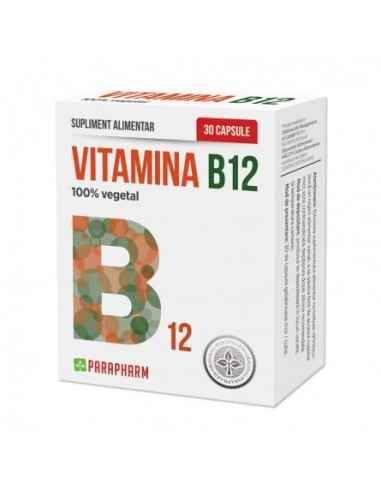 Vitamina B12 30cps Parapharm, Sistemul nervos