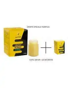 Laptisor de matca pur bio 100 gr + 10 gr bio GRATIS Apivitalis, Tulburari Hormonale