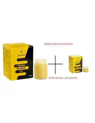 Laptisor de matca pur 100 gr + 10 gr GRATIS Apivitalis, Tulburari Hormonale