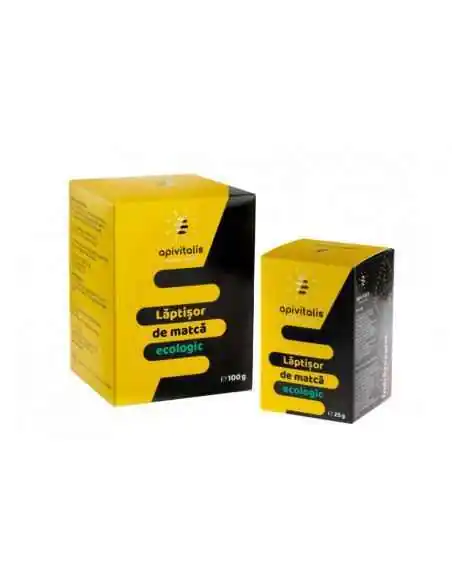 Laptisor de Matca Pur Bio100g + 25g GRATUIT Apivitalis, Sistemul nervos