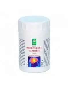 REGENERARE MEMORIE 90 cps Steaua Divina, Sistemul nervos