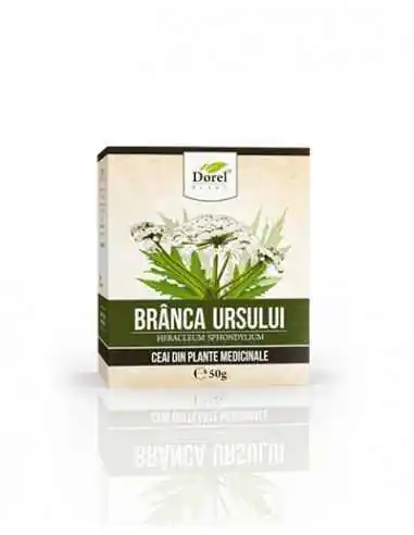 CEAI DE BRANCA URSULUI 50GR Dorel Plant, Tulburari Hormonale