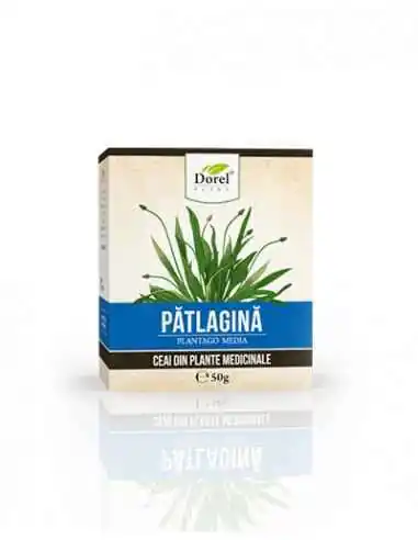 CEAI DE PATLAGINA 50 grame Dorel Plant, CEAIURI VRAC