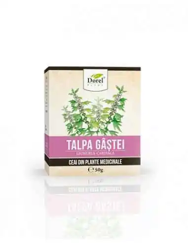 CEAI DE TALPA GASTEI 50GR Dorel Plant, Sistemul nervos