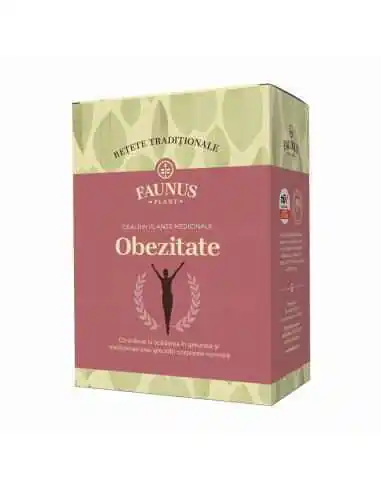 CEAI RETETE TRADITIONALE OBEZITATE 180GR Faunus Plant, Detoxifierea organismului