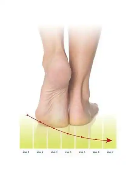 Labobell Crema impotriva pielii crapate 75 ml, UNGUENTE/CREME/GELURI