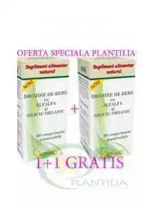 Drojdie de bere cu AlfAlfa si Siliciu Organic 60 comprimate 1+1 GRATIS Hofigal, Stres
