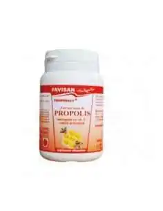 PROPOSALV-EXTRACT USCAT DE PROPOLIS 100 ml Favisan, REMEDII NATURISTE