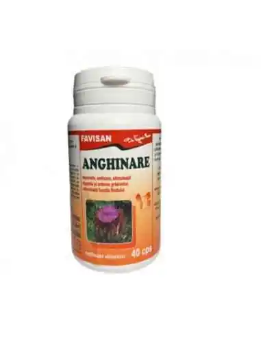 ANGHINARE 40 capsule Favisan, REMEDII NATURISTE