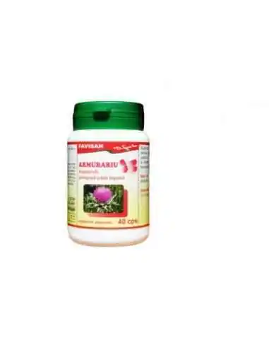 ARMURARIU 40 capsule Favisan, REMEDII NATURISTE