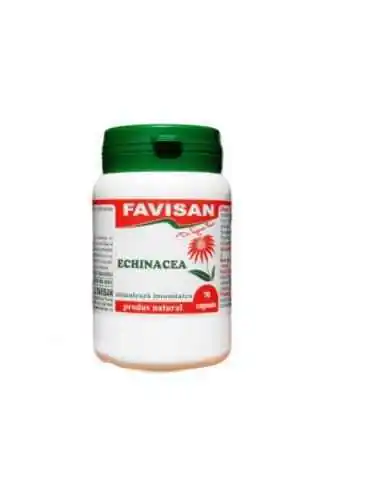 ECHINACEA 70 capsule Favisan, REMEDII NATURISTE