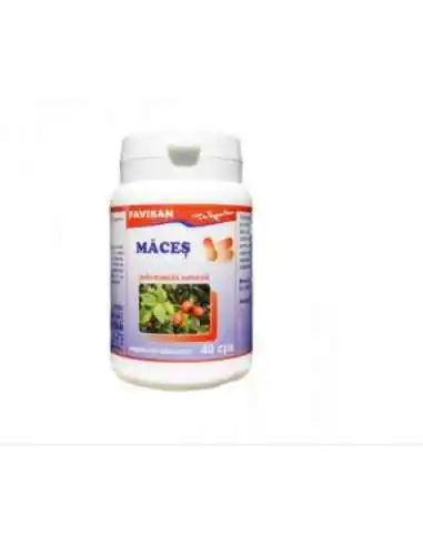 MACES 40 capsule Favisan, REMEDII NATURISTE