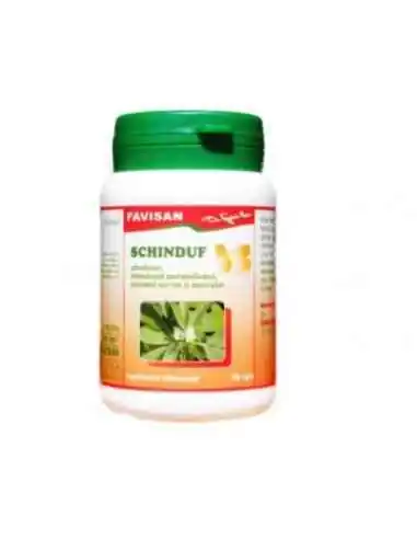 SCHINDUF 40 capsule Favisan, REMEDII NATURISTE