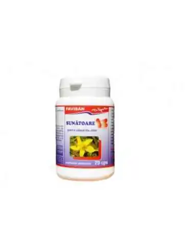 SUNATOARE 70 capsule Favisan, Stres