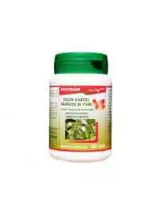 TALPA GASTEI, PADUCEL SI VASC (protejeaza inima, calmeaza spiritul) 40 capsule Favisan, REMEDII NATURISTE