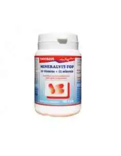 MINERALVIT TOP 40 capsule Favisan, VITAMINE SI MINERALE