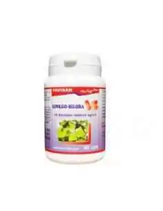 GINKGO-BILOBA 40 capsule Favisan, Sistemul nervos