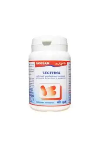 LECITINA 40 capsule Favisan, Sistemul nervos