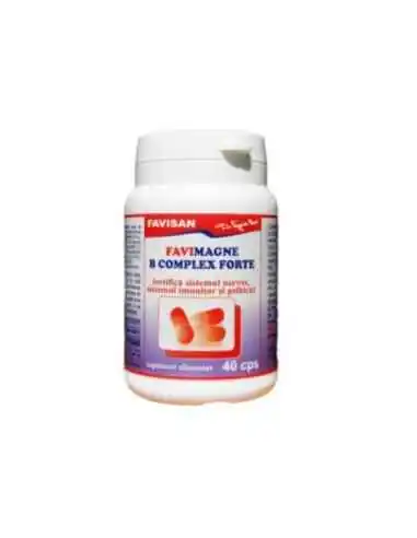 FAVIMAGNE B COMPLEX FORTE 40 capsule Favisan, Sistemul nervos