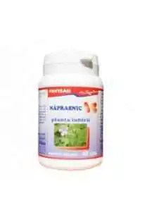 NAPRASNIC 40 capsule Favisan, REMEDII NATURISTE