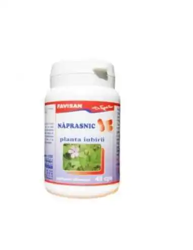 NAPRASNIC 40 capsule Favisan, REMEDII NATURISTE