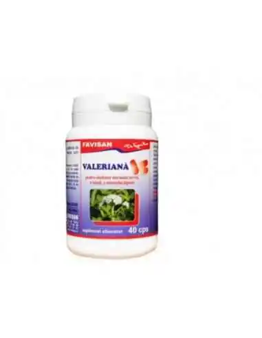 VALERIANA 40 capsule Favisan, Sistemul nervos