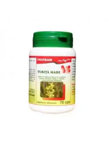 TURITA MARE 70 capsule Favisan, REMEDII NATURISTE