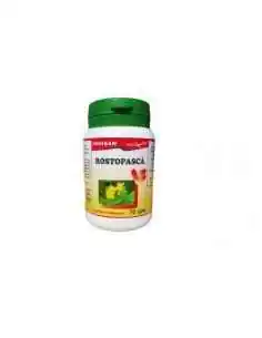 ROSTOPASCA 70 capsule Favisan, REMEDII NATURISTE