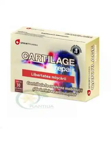 Cartilage Repair 30 capsule Sprint Pharma, REMEDII NATURISTE