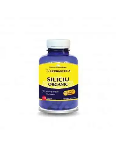 Siliciu Organic 120 capsule Herbagetica, Sanatatea pielii