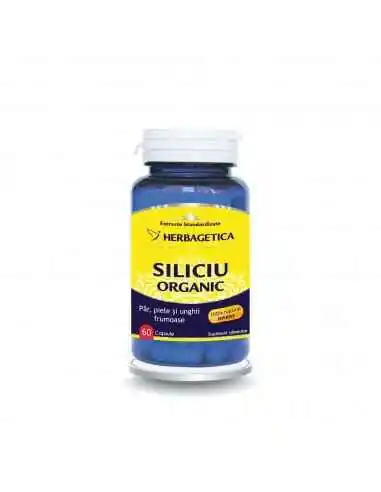 Siliciu Organic 60 capsule Herbagetica, Sanatatea pielii