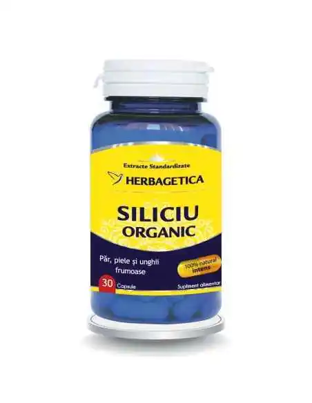 Siliciu Organic 30 capsule Herbagetica, Sanatatea pielii