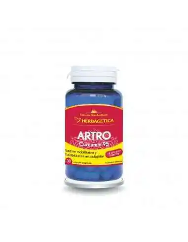 Curcumin 95 C3 complex Herbagetica 120 capsule, Sistemul nervos