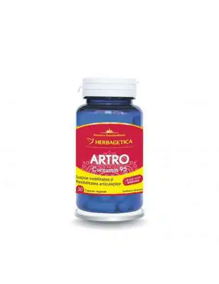 Curcumin 95 C3 complex Herbagetica 120 capsule, Sistemul nervos