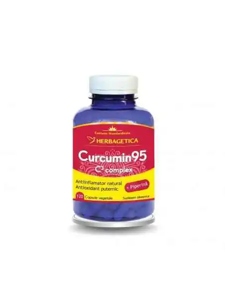 Curcumin 95 C3 complex Herbagetica 120 capsule, Sistemul nervos