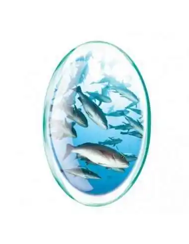 Omega 3 1000mg + Vitamina E 90 capsule Rotta Natura, Sistemul nervos